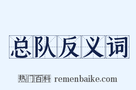 总队反义词是什么意思的图片